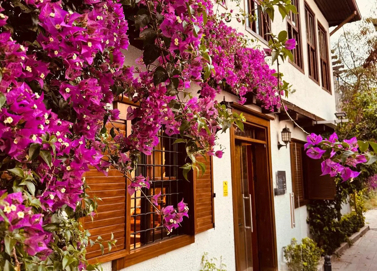 Nills Suite Villa 安塔利亚
